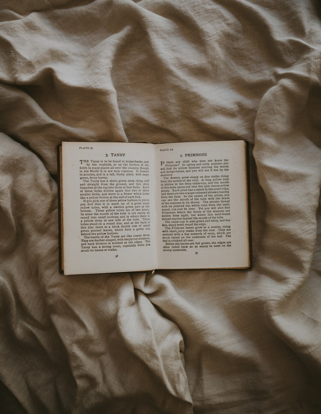 open book with last page