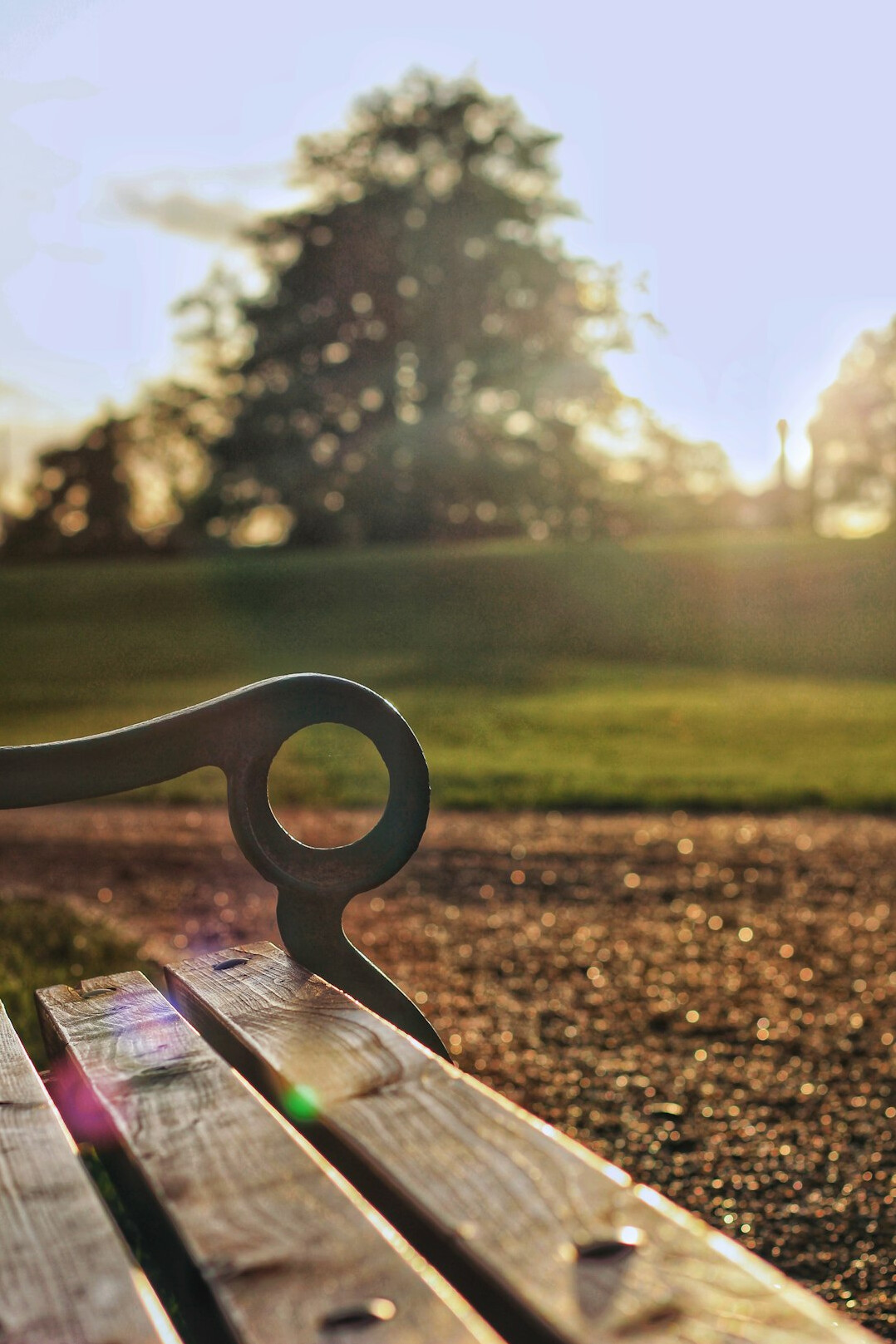 park bench at dusk