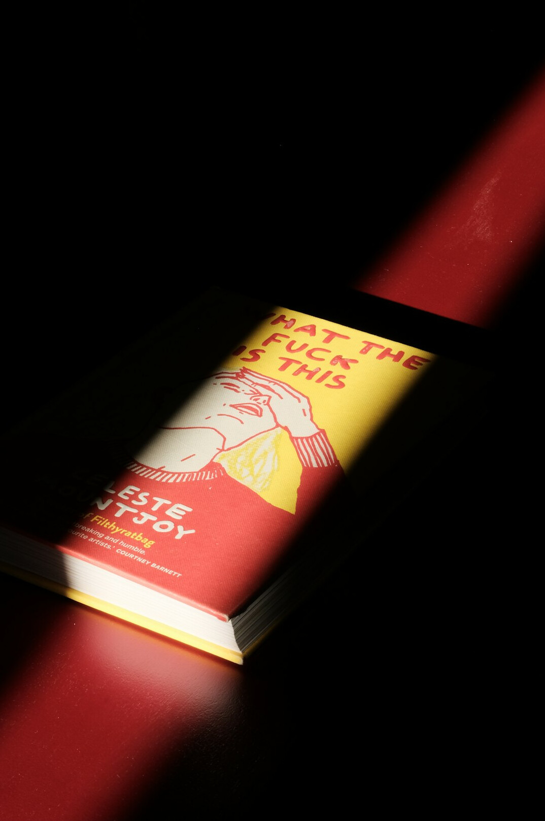 mystery novel book cover
