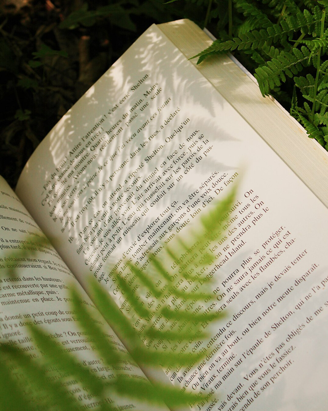 open book with shadows